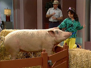 Punky Brewster 3. évad Ep.17 17. epizód