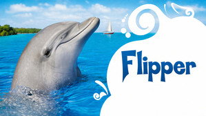 Flipper kép