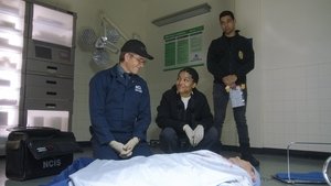 NCIS: Tengerészeti helyszínelők 19. évad Ep.14 Első lépések