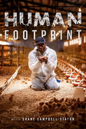 Human Footprint poszter