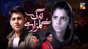 زندگی گلزار ہے kép