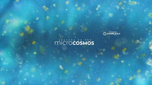 Journey to the Microcosmos kép