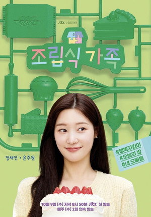 조립식 가족 poszter