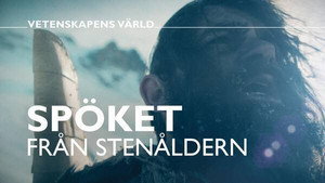 Vetenskapens värld 47. évad Ep.36 36. epizód