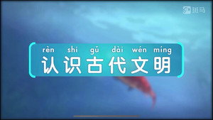 斑马百科 10. évad Ep.1 1. epizód