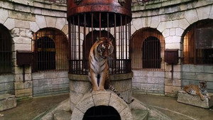 Fort Boyard (Deutschland) 5. évad Ep.2 2. epizód