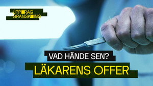 Uppdrag granskning sommar 2024. évad Ep.7 7. epizód