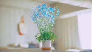 恋愛ルビの正しいふりかた kép