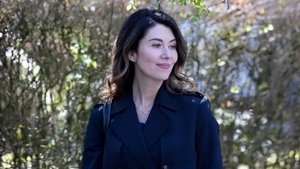 Family Law 4. évad Ep.3 3. epizód