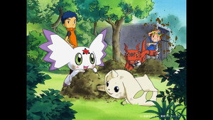 Digimonszelídítők kép