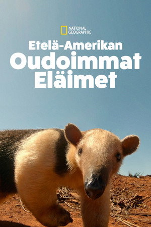 Dél-Amerika legkülönösebb állatai poszter