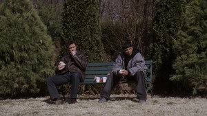 Drót kép