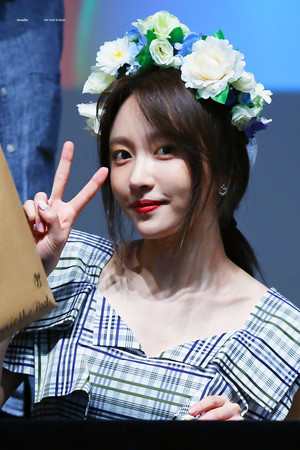 하니 profil kép