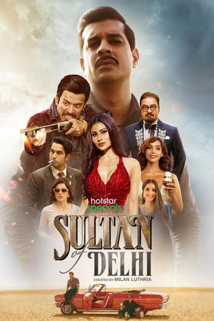 दिल्ली का सुल्तान poszter
