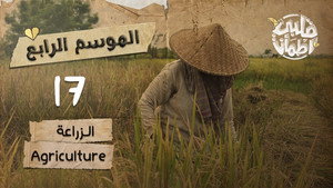 قلبي اطمأن 4. évad Ep.17 17. epizód