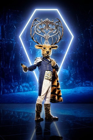 The Masked Singer poszter