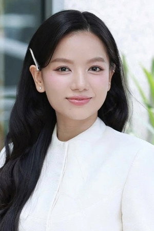 Lê Hạ Anh profil kép