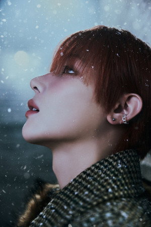 ニコラス profil kép