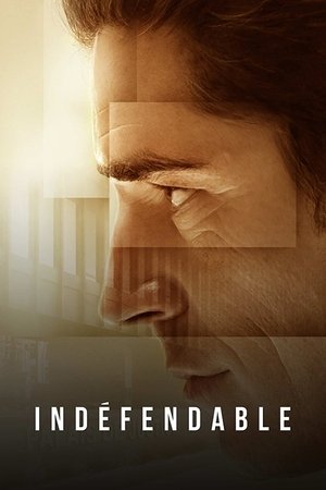 Indéfendable poszter