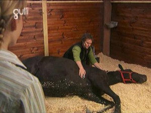 The Saddle Club 3. évad Ep.13 13. epizód
