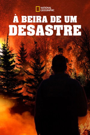 Witness to Disaster poszter