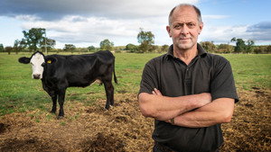 A Yorkshire-i állatorvos kép