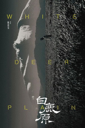 白鹿原