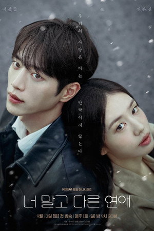 너 말고 다른 연애 poszter