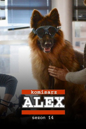 Alex felügyelő 14. évad (2020-02-29) poszter