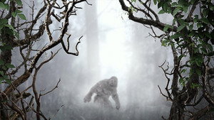 MonsterQuest kép