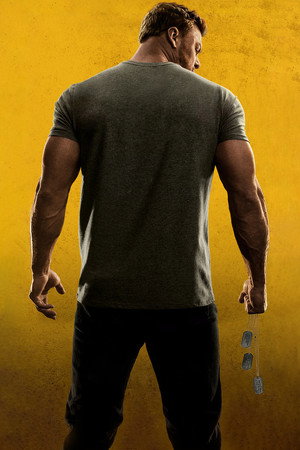 Reacher poszter