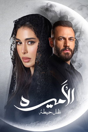 الأميرة: ظل حيطة poszter