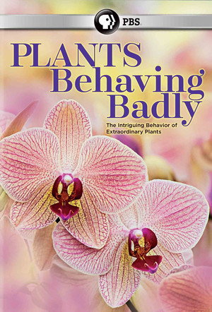 Plants Behaving Badly poszter