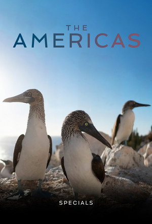 The Americas Speciális epizódok (2025-04-20) poszter