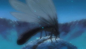 甲虫王者ムシキング ～森の民の伝説～ 1. évad Ep.4 4. epizód