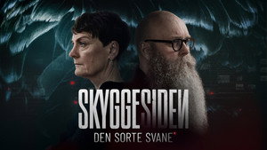 Skyggesiden - Den sorte svane kép
