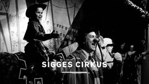 Sigges cirkus kép