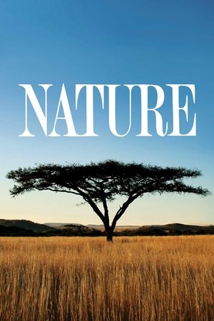 Nature poszter