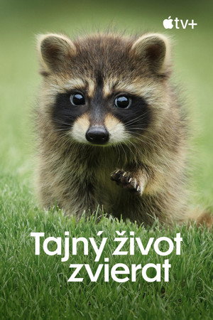 Az állatok titkos élete poszter