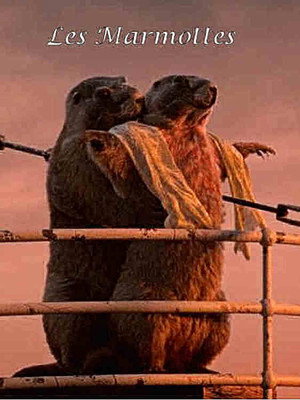 Les Marmottes poszter