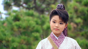 包青天之开封奇案 kép