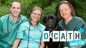Dr Cath and Co kép