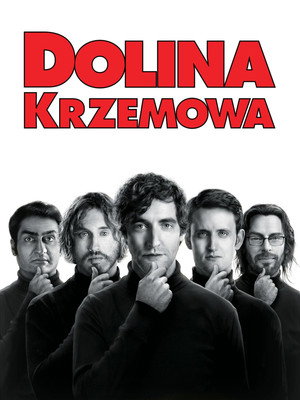Szilícium-völgy poszter