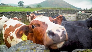 Countryfile 34. évad Ep.40 40. epizód
