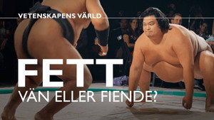 Vetenskapens värld 48. évad Ep.10 10. epizód
