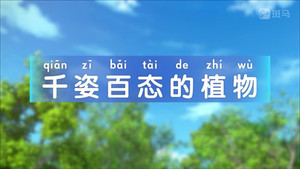 斑马百科 4. évad Ep.12 12. epizód