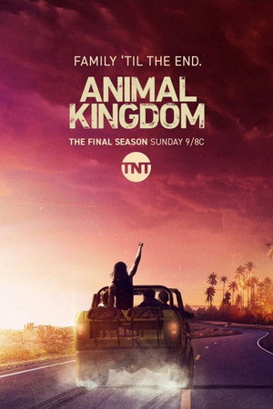 Animal Kingdom poszter