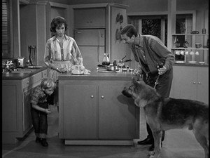 The Dick Van Dyke Show 1. évad Ep.9 9. epizód