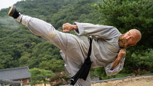 Shaolin Heroes kép