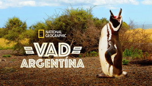 Vad Argentína kép